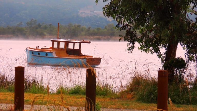 Argus Franklin 2022 768x432