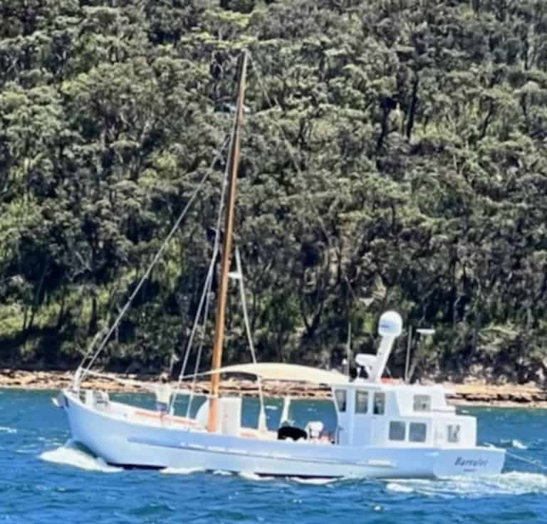 B2EE5AF6 0AFF 4C60 B135 FA4CAE24CE47 768x736