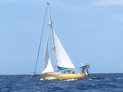 BAC404CA 9E44 4A8D 89DF 63362EFB6F78