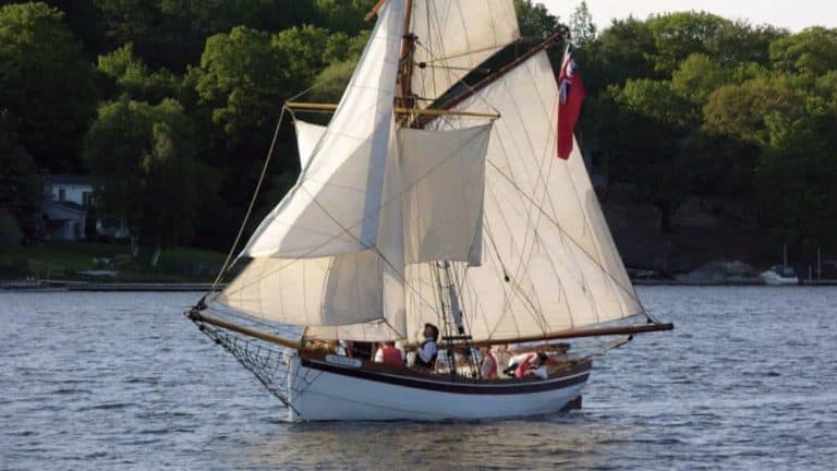 Badger under sailnr 768x432