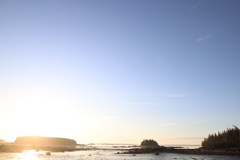 Brian Wasser Sellers 1 768x512