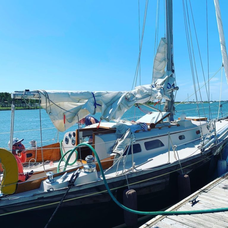 C051D275 481A 4F11 9EE5 F51BD7E7B2E4 768x768