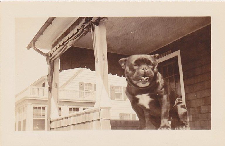 C493A8E5 7E6B 4D44 888B 3719612E31B1 768x500