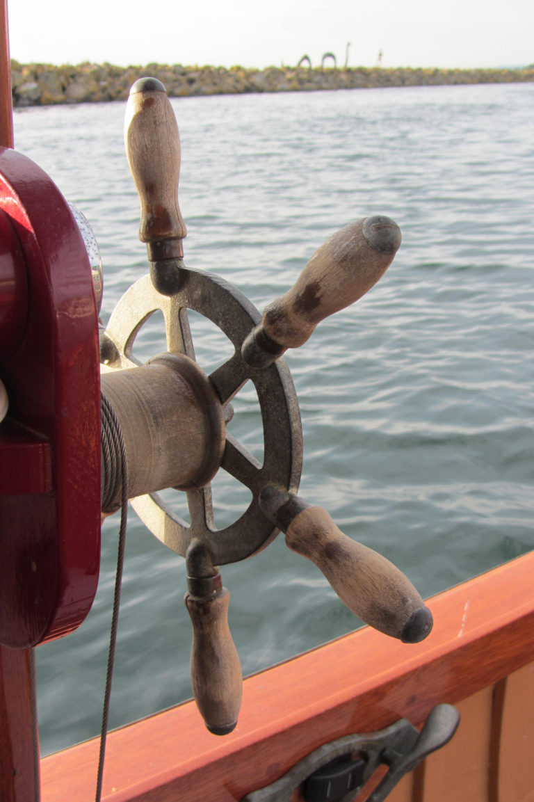 Chickadee wheel 768x1153