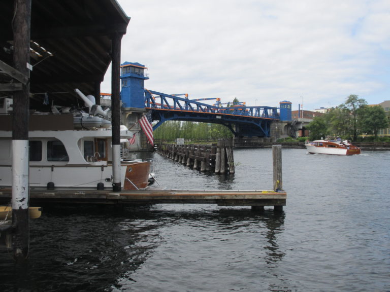 Chillcat view of Fremont Bridge 768x576