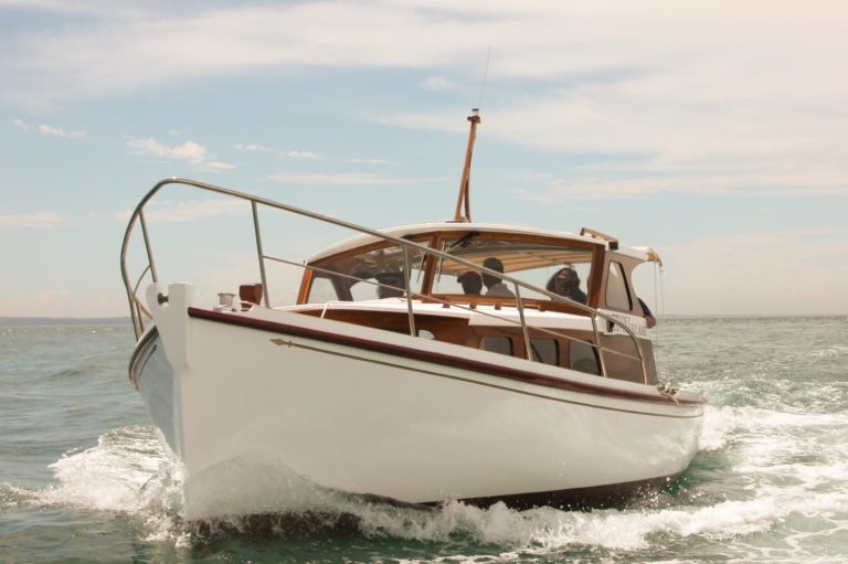 Copy of DSCN1175 768x511