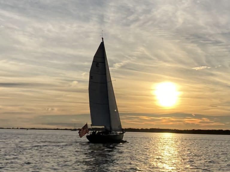 D3FA3D01 BD64 4867 A6E1 8500566A7D3B 768x576