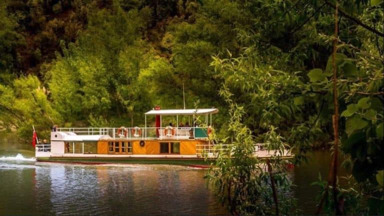 DCAD34B1 4AC5 4A30 9938 07E09E1AA476 768x432