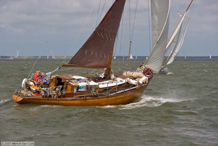 DCYR2007 2058 768x513