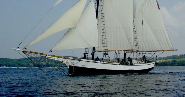 DSC02020 copy 2 1 copy 768x403