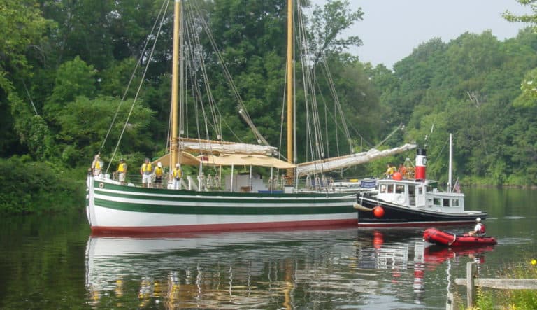 DSC06921copy copy 768x443