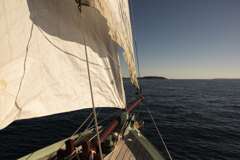 DSC0857 small 768x512