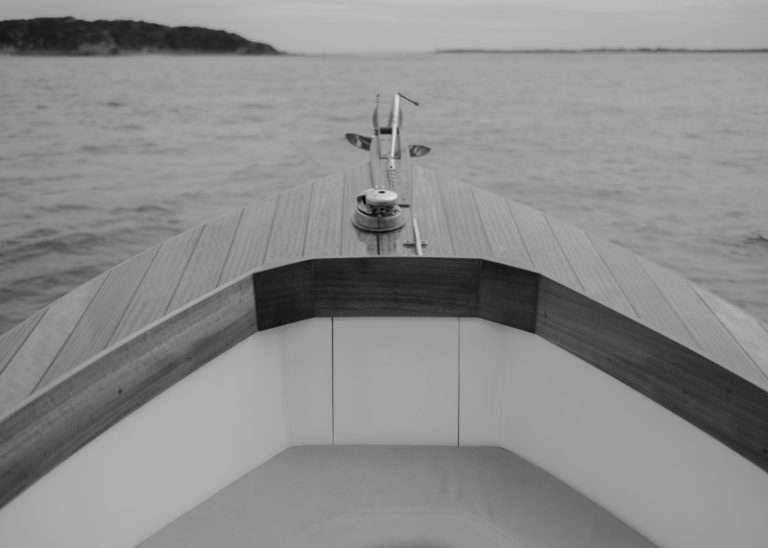 DSF3121 copy 2 768x548