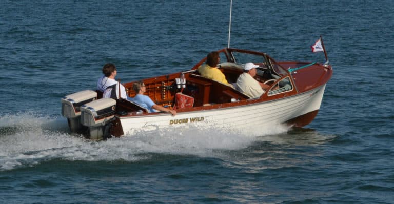 DucesWild nrcrop 768x398