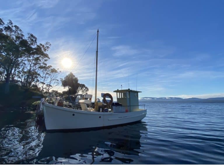 E1A7B73F F025 41F5 A502 2BE3112D5578 768x569