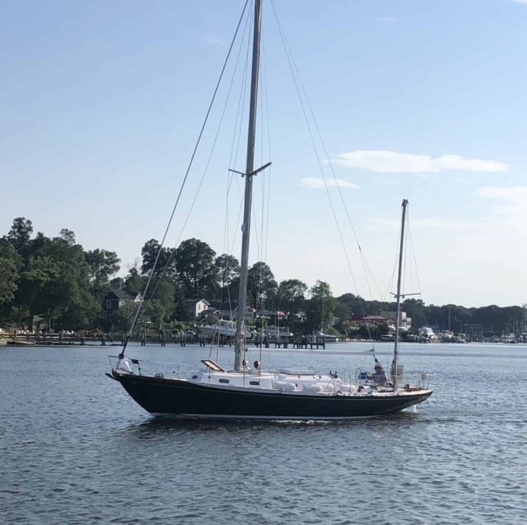 EE47BBAA 9446 4638 905D 3838117729BD 1536x2048 nrcrop 768x765