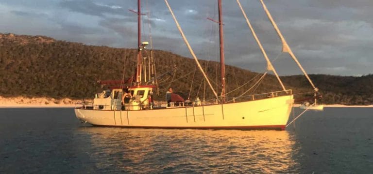 F0F2C800 3D54 4358 BAE9 8299DDAC7A6F 2048x1536 1 copy 768x360