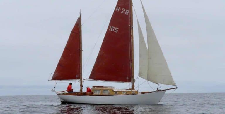 H28 side view all sails up 2048x1536 nrcrop 768x392