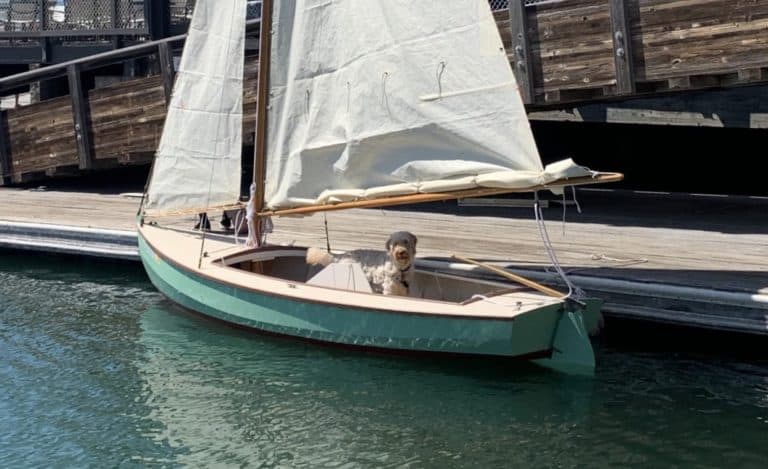 IMG 1117 2 1536x2048 copy 2 768x469