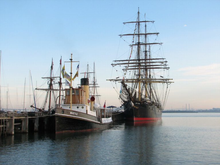 IMG 0115 Wattle JC MELJan08 Alf Batchelder 2 copy 768x576