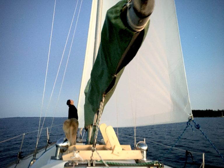 Gambell and Hunter; Modern Cruising