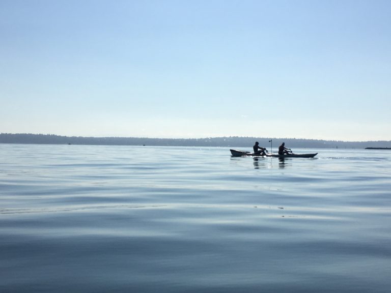 IMG 0634 copy 768x576