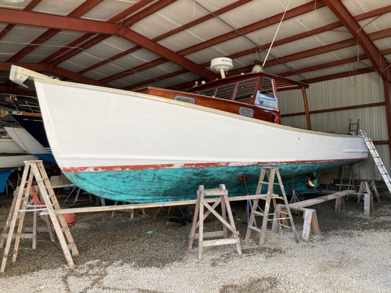 IMG 0997 Large 768x576