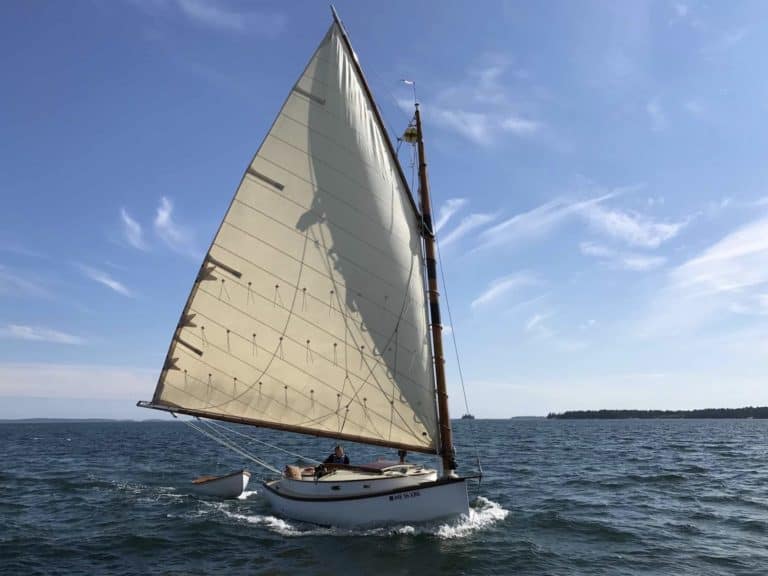 IMG 1380 1nr 768x576