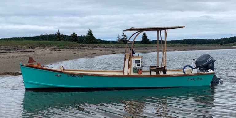 IMG 1448 copy 768x384