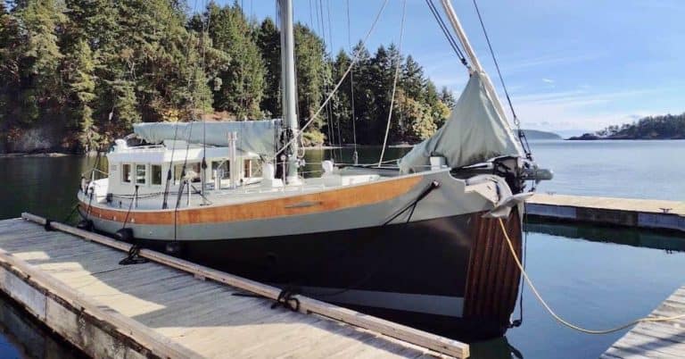 IMG 20210909 161520936 BURST000 COVER copy 768x402