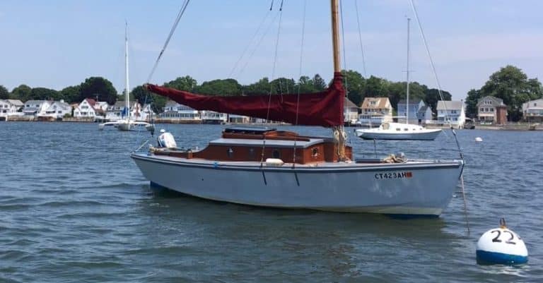 IMG 2167 1152x1536 copy 768x401