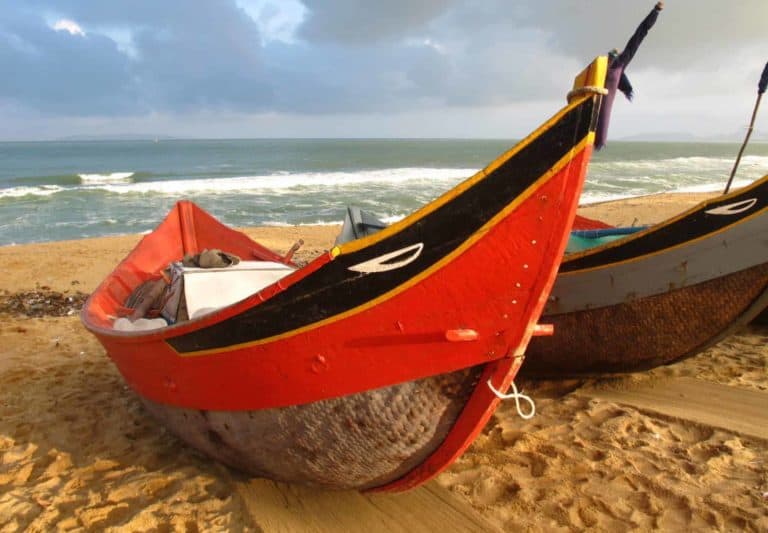 IMG 3354 2048x1536 copy 768x533