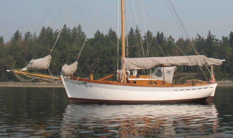 IMG 3705 1 2048x1934 copy 768x455