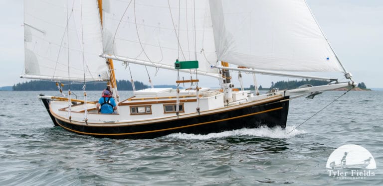 IMG 4226 copy 768x374