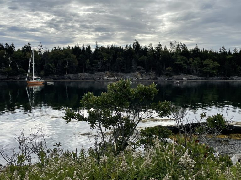 Jewell2 Doug 768x576