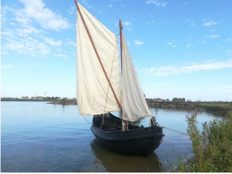 Lankorst in water 1 768x576