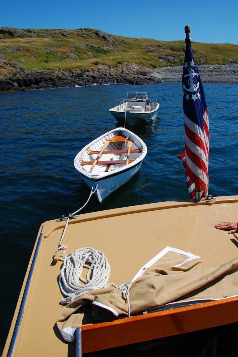 Lark Back Deck 768x1154