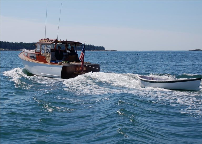 Lark Stern 2010 768x549