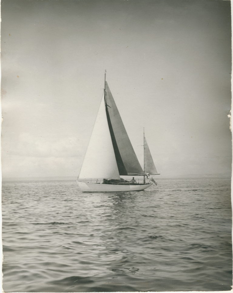 SY "STÖRTEBEKER III"