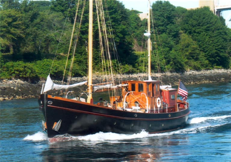 LittleVigilant 4 scaled 1 768x541