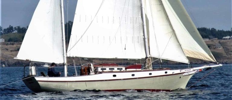 M7a 2048x1730 nrcrop 768x332