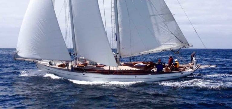 MAYAN Mont n Back race 1 copy 768x362