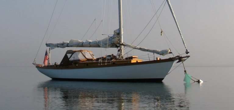 MG 8206 Resized copy 768x363