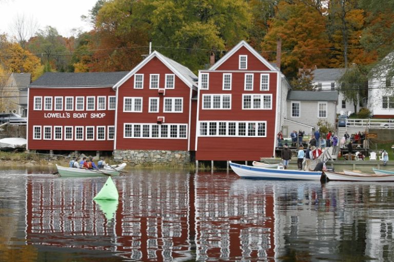 MG 8767 800x533 1 768x512