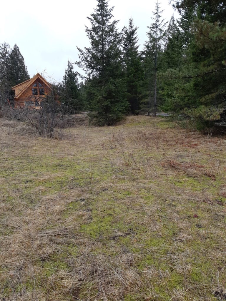 Merriwake Interpretative Centre site 768x1024
