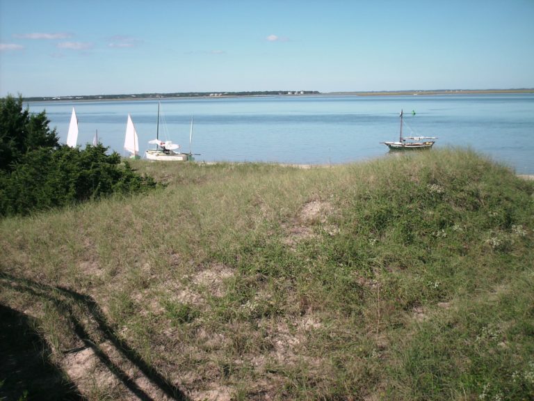 Pepper 15 Frisky Lady OBX 130