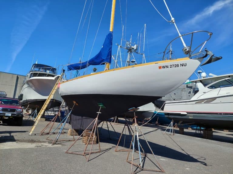 On hard 2021 768x576