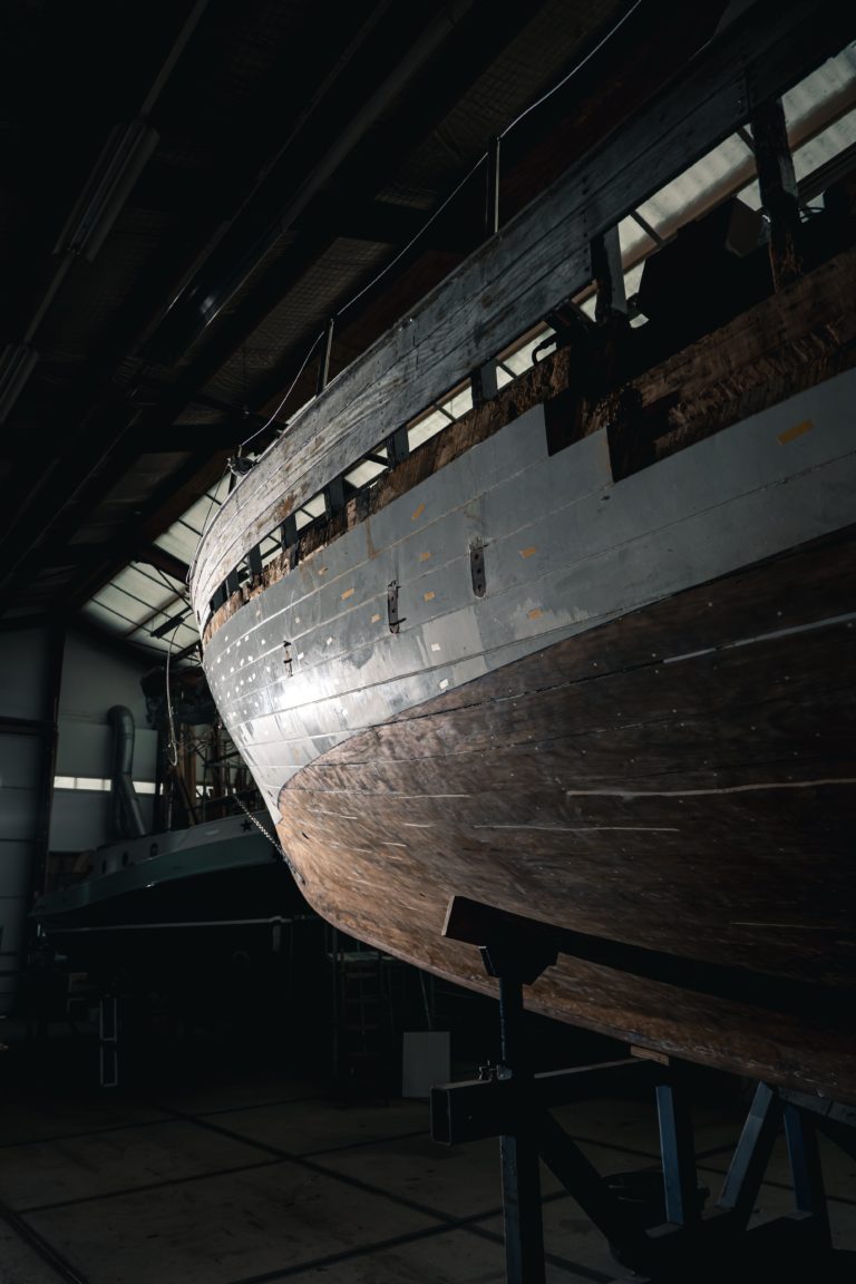 P1484253 min 768x1152