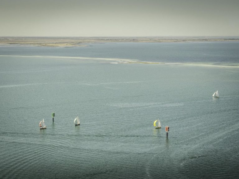 P3100028 copy 768x576