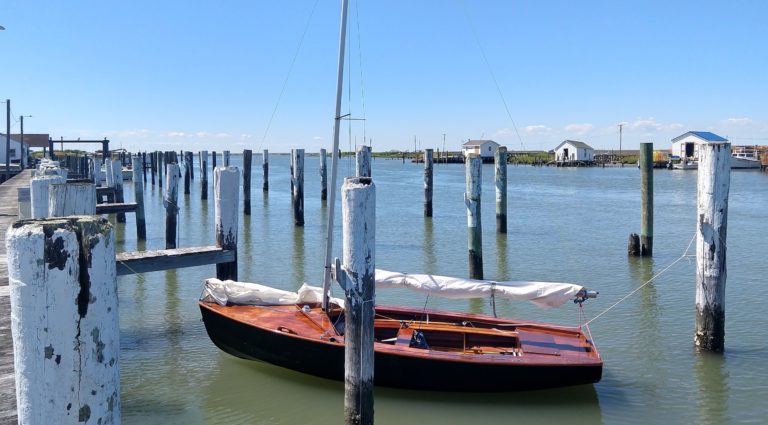 Parks Marina copy 768x425